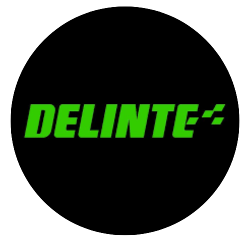 DELINTE TIRE - 205/45ZR17 - 88W D7 PCR MW40000