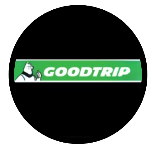 GOODTRIP TIRE - 245/30R22 GOODTRIP GX-01 92W XL 420AA